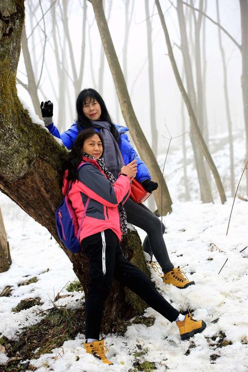 成品网站免费链接怎么弄